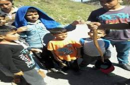 The Stranded Refugees on the Greece Macedonian Borders: our Children