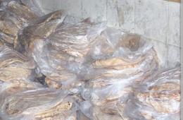 600 Bread Bundles Delivered to Stranded Civilians in Deraa Camp