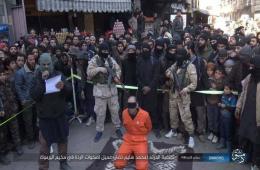 4 Refugees Executed by ISIS in Yarmouk Last Week
