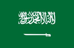 Saudi Authorities Deny Palestinian Families Right to Visas, Education