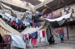 80% of Palestinians from Syria Unemployed 