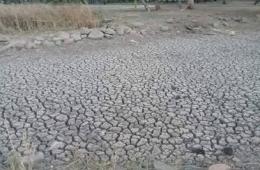 Water Crisis Rocks AlMzeirib Community South of Syria