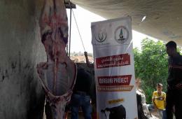 Sacrificial meat distributed to Palestinian families south of Damascus and rural Daraa.