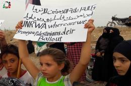 Displaced Palestinians North of Syria Appeal for Delivery of UNRWA Aids