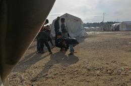 Displaced Palestinian Refugees North of Syria Appeal for Identity Documents