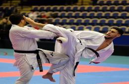 Palestinian Refugee from Syria Named Karate Champion in Sweden