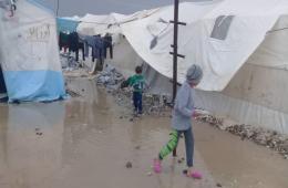 Palestinian, Syrian Orphans Struggling for Survival in Northern Syria Refugee Camps
