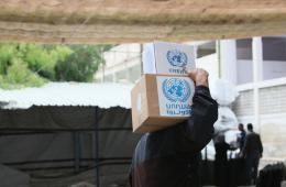 Food Baskets Distributed to Displaced Palestinian Families in Handarat