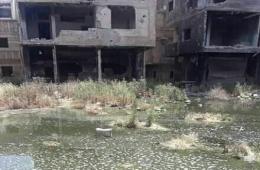 Civilian Homes South of Damascus Damaged by Stagnant Water