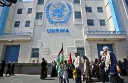 UNRWA Staff in Lebanon Accused of Mismanagement 