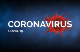 Anti-Coronavirus Emergency Plan Implemented at Syria Hospitals