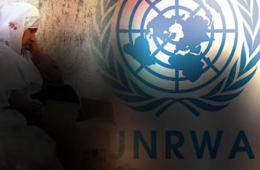 UN: Financial Crisis Faced by Palestine Refugee Agency Worst in years
