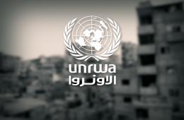 Palestinian Refugees Raise Concerns over UNRWA “Eye Print” Survey
