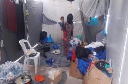 Palestinian Refugees Struggling for Survival on Greek Island