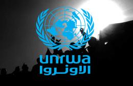 Palestinians from Syria Outside of UNRWA Fields of Operations Denied Protection