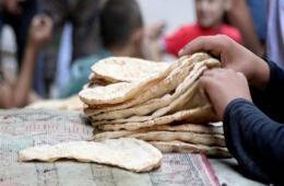 Insect-Staffed Bread Sold in Jaramana Camp for Palestine Refugees