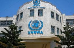 Experts Slam UNRWA Decision to Form Advisory Educational Committee