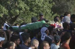 34 Palestinians from Syria killed since start of 2022