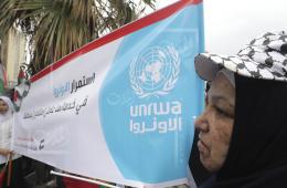 Palestinians of Syria Lash Out at UNRWA