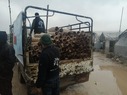 توزيع مدافئ حطب في مخيم دير بلوط والمحمدية بالشمال السوري 