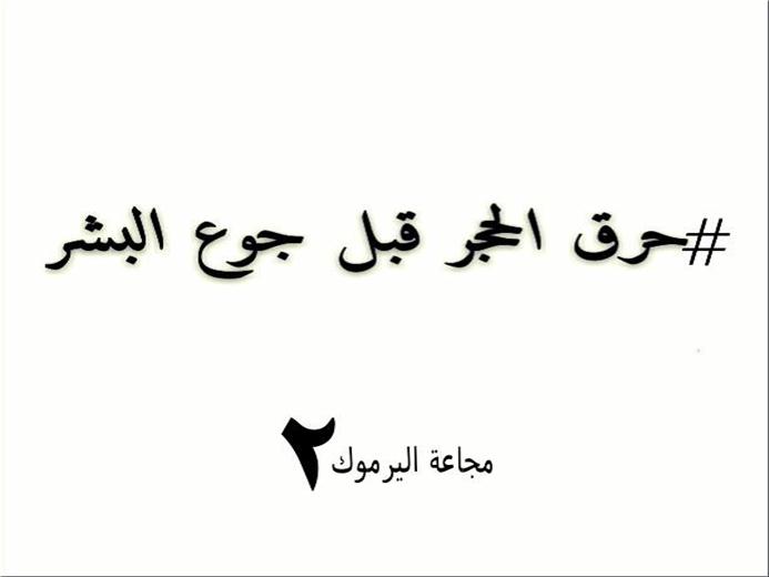 ناشطون داخل مخيم اليرموك يطلقون حملة بعنوان"حرق الحجر  قبل جوع البشر"