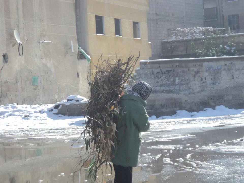 فلسطينيو سورية إحصائيات وأرقام حتى /12/ شباط ــ فبراير / 2016