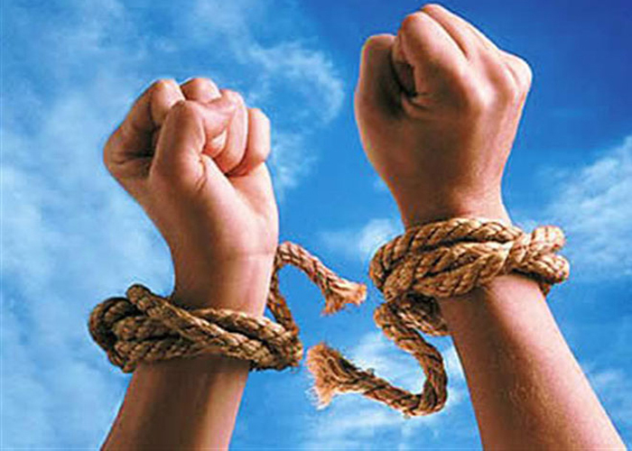 الإفراج عن 7 معتقلين من أبناء مخيم خان دنون 