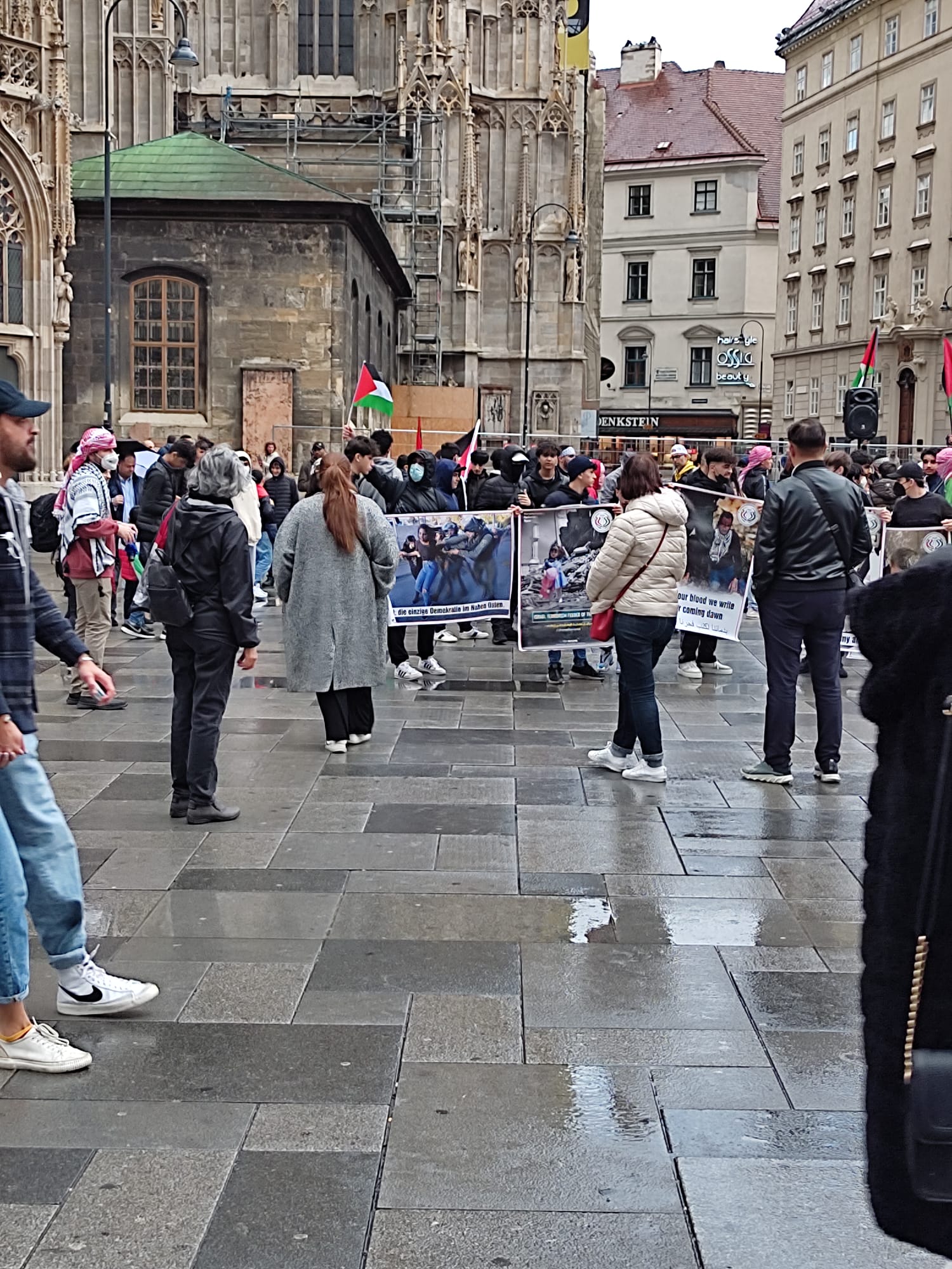 النمسا.. فلسطينيو سوريا يشاركون في مسيرة تضامنية مع القدس