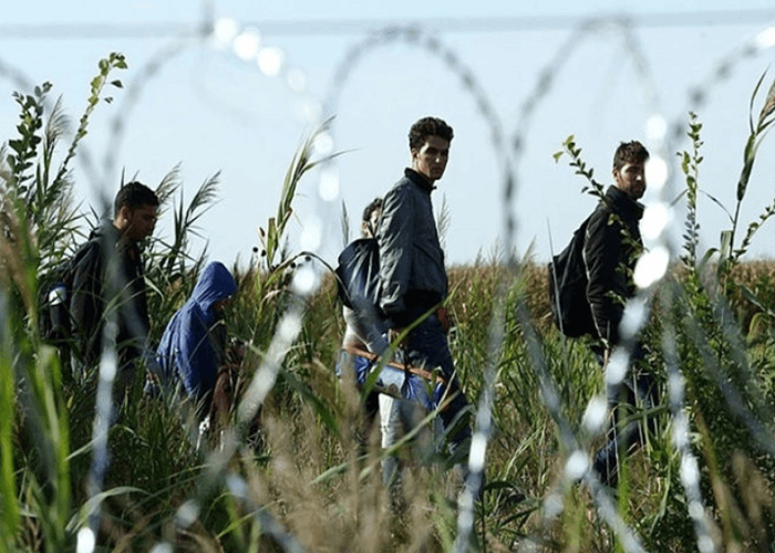 مركز العودة ومجموعة العمل يسلّمان مجلس حقوق الإنسان وثيقة حول تعذيب المهاجرين على طريق البلقان