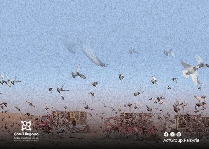 أهالي مخيم العائدين في حمص يشتكون من ظاهرة "كشيشة الحمام" 