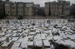 الكلاب تنبش بعض القبور إثر انهيارها بسبب الثلوج في مخيم اليرموك