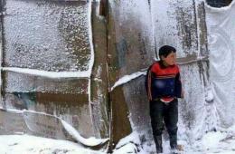 فلسطينيو سورية.. ذاب الثلج ولم تذُب المعاناة