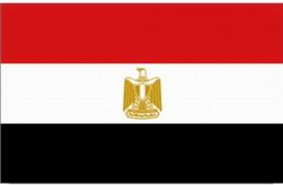 	المحتجزون الفلسطينيون السوريون في مصر يواصلون اضرابهم عن الطعام لليوم الثالث على التوالي 