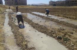 أبناء مخيم اليرموك يستصلحون أراضي للزراعة في مخيم اليرموك  بعد مرور712 يوم على الحصار 