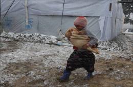 فلسطينيو سورية .. بين قسوة البرد ونقص المساعدات