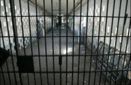 33 معتقلاً  فلسطينياً من أبناء مخيم السيدة زينب في السجون السورية 