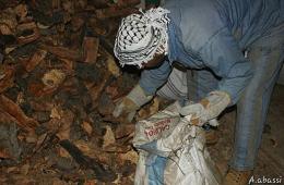 * "الحطب والغذاء" معاناة كبيرة يعيشها الفلسطينيون جنوب دمشق 