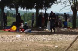 منظمة اليونيسف تطالب بمساعدة الأطفال العالقين في اليونان دول البلقان