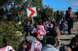 تركيا تعتقل مهاجرين بينهم عدداً من الفلسطينيين على حدودها مع اليونان