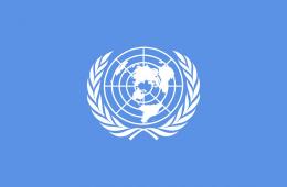 الأمم المتحدة: الحكومة السورية والجماعات المسلحة يحاصرون المدنيين في مخيم اليرموك