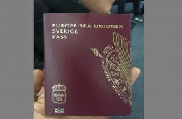 عشرات اللاجئين من فلسطينيي سورية يحصلون على الجنسية السويدية والهولندية