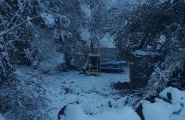 مخيم بريقة "لاجئون تحت الثلج" بلا ماء ولاخبز ولا حطب 