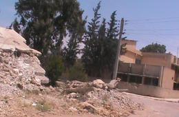 النظام يستهدف "المزيريب" جنوب سورية بقذائف الهاون