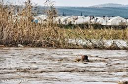 مهجرو مخيم دير بلوط والمحمدية يطلقون نداء استغاثة بعد فيضان نهر عفرين