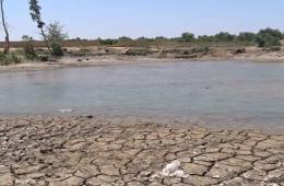 الأوضاع المعيشية وجفاف بحيرة المزيريب يزيدان معاناة الفلسطينيين جنوب سورية