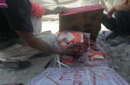 توزيع حصص لحم على العائلات المهجرة في مخيمي دير بلوط والمحمدية 