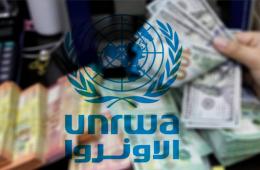 لبنان.. الأونروا تعلن عن موعد صرف المساعدة النقدية لفلسطينيي سورية 