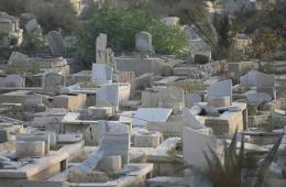 شاهد: آلاف من الفلسطينيين والعرب دفنوا في مقبرة اليرموك ماذا حلّ برفاتهم وقبورهم؟