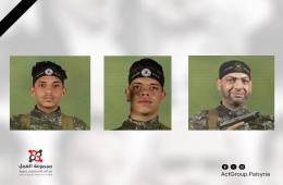 ارتقاء 3 فلسطينيين سوريين على الحدود اللبنانية الفلسطينية 