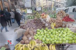 اللاجئون الفلسطينيون في سوريا. بين فرحة التحرير ومعاناة الواقع المعيشي